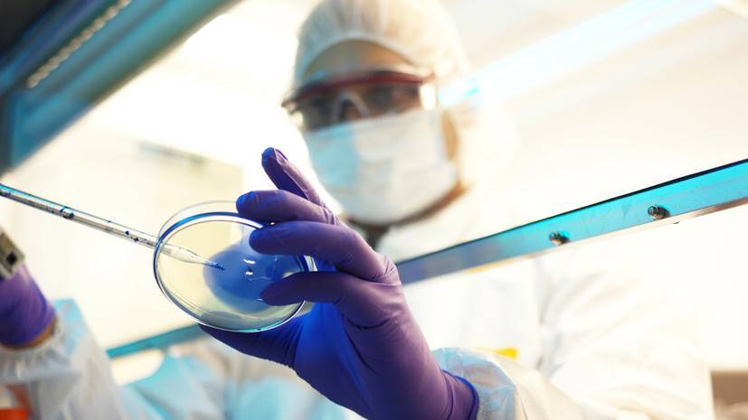 Внеклеточный каркас: российские учёные получили биоматериал для восстановления тканей организма
