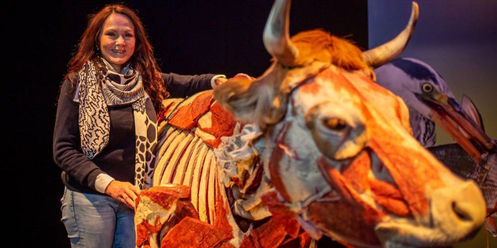 Урок зоологии и анатомии. В Киеве продолжает работать всемирно известная выставка тел животных — почему ее стоит посетить
