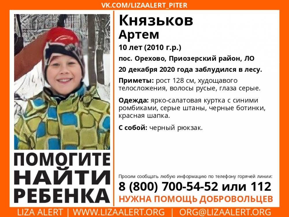 В Орехово 10-летний мальчик заблудился в лесу