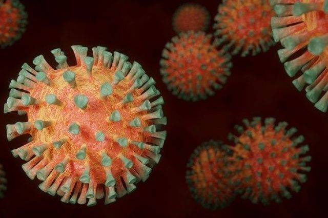 Вирусолог оценил опасность мутировавшего коронавируса для РФ
