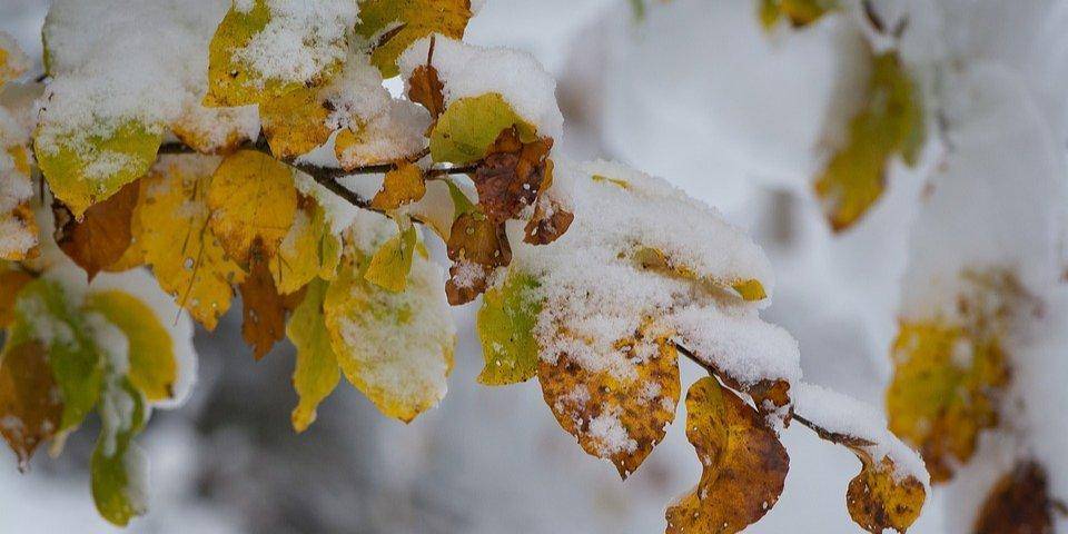 Погода в Украине: в ряде регионов ударят морозы до -10, пройдет мокрый снег с дождем