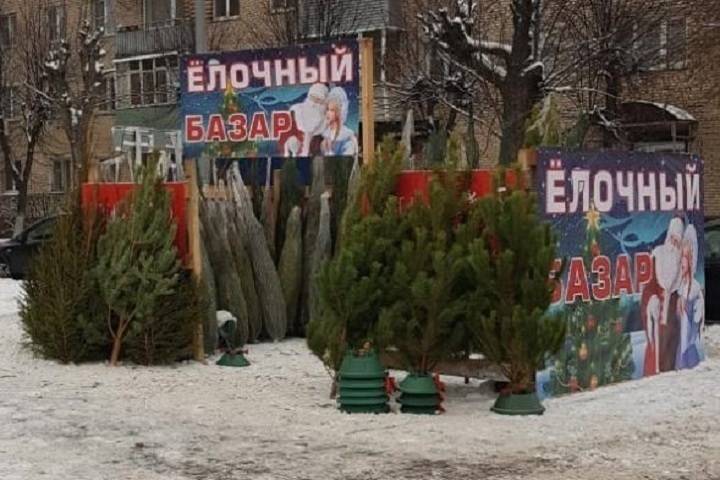 Ёлочные базары открылись в Серпухове