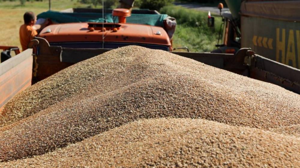 Токаев подписал поправки, предусматривающие возмещение затрат по хранению зерна