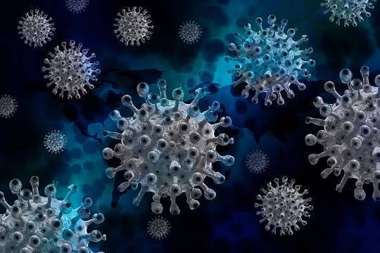 Новую мутацию коронавируса обнаружили в Дании, Нидерландах и Австралии