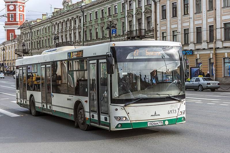 Нелегальных перевозчиков в Петербурге оштрафовали на 4,5 миллионов рублей