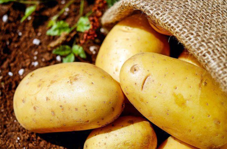 7 интересных фактов о картофеле, о которых не догадываются