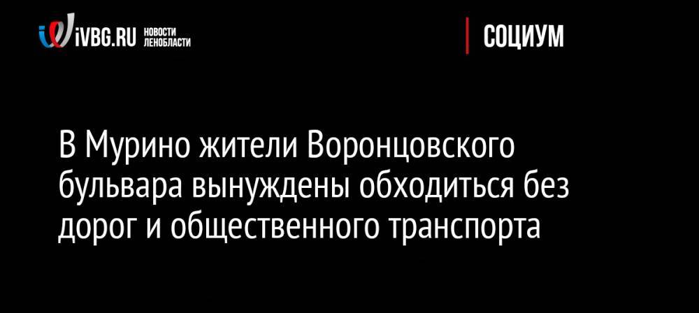 В Мурино жители Воронцовского бульвара вынуждены обходиться без дорог и общественного транспорта