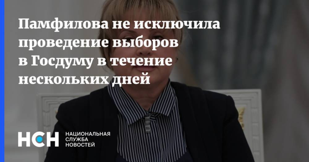 Памфилова не исключила проведение выборов в Госдуму в течение нескольких дней
