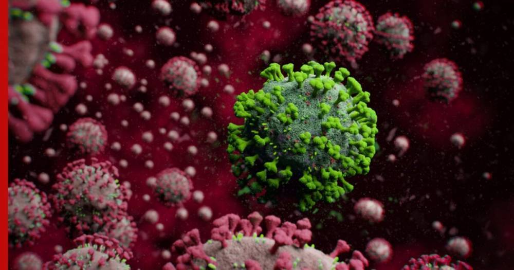 Новые штаммы коронавируса обнаружили в Бразилии и Эквадоре