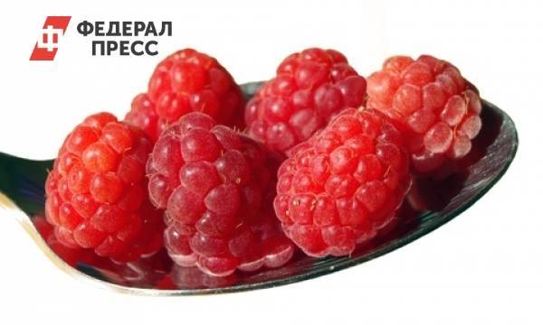 Россиянам рассказали, каких ягод не должно быть на новогоднем столе