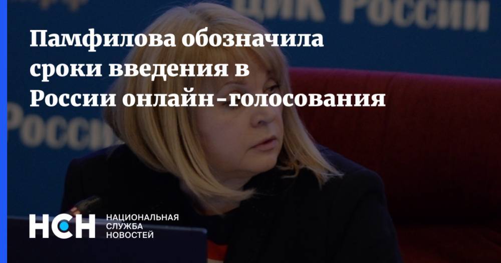 Памфилова обозначила сроки введения в России онлайн-голосования