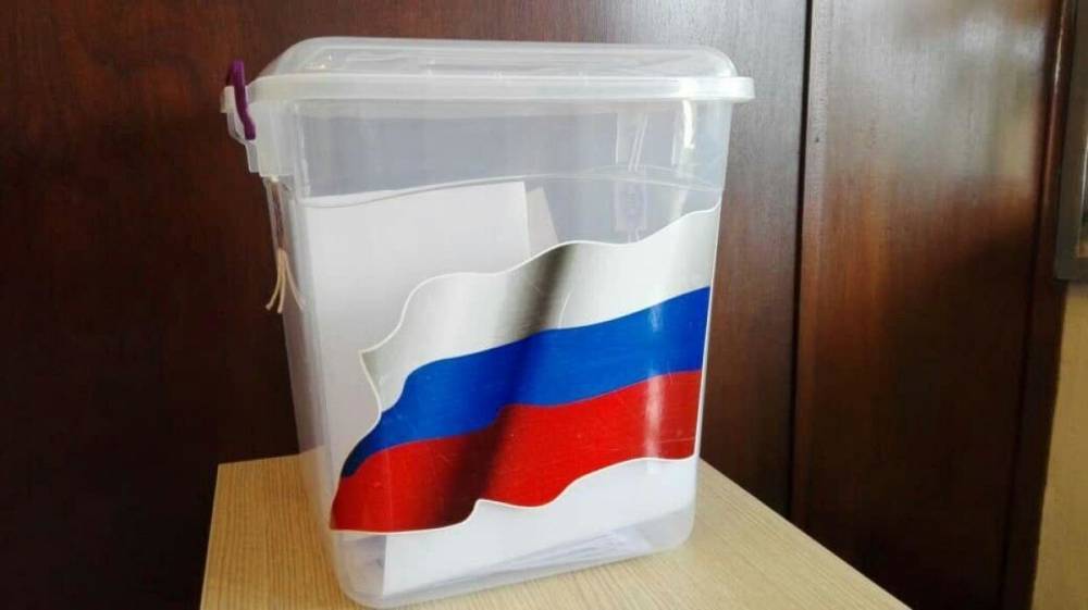 Глава ЦИК РФ обозначила сроки проведения масштабного онлайн-голосования