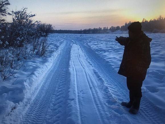 В Якутии фермеры из-за морозов шьют коровам меховые бюстгалтеры (фото)