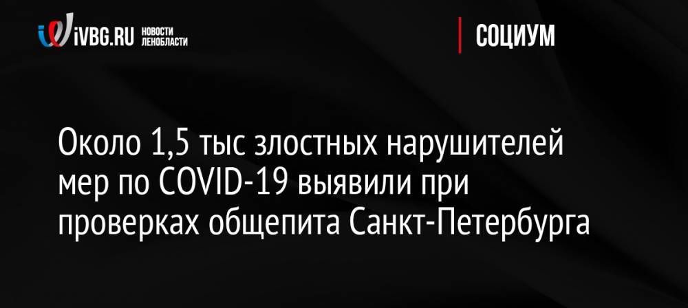 Около 1,5 тыс злостных нарушителей мер по COVID-19 выявили при проверках общепита Санкт-Петербурга