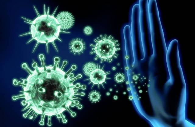 Ученые увеличили срок иммунитета от COVID-19