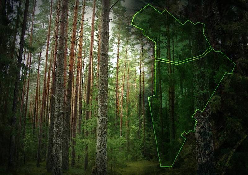 В Новой Москве могут уничтожить десятки гектаров Троицкого леса