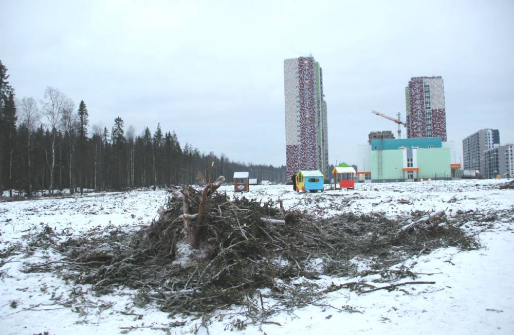 Жители Петрозаводска требуют проверить, законно ли сквер превратили в пустырь