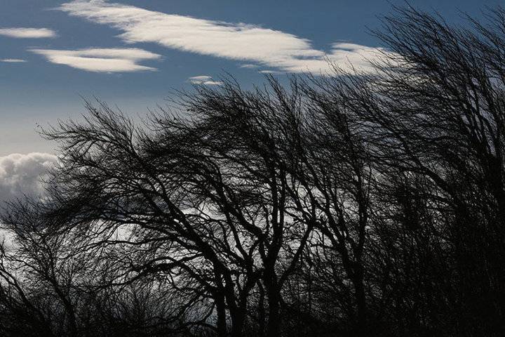 25 декабря в Тамбовской области ожидается усиление ветра