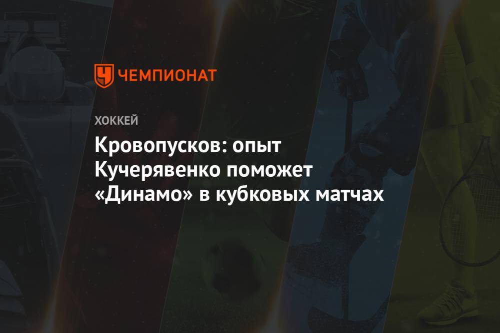 Кровопусков: опыт Кучерявенко поможет «Динамо» в кубковых матчах