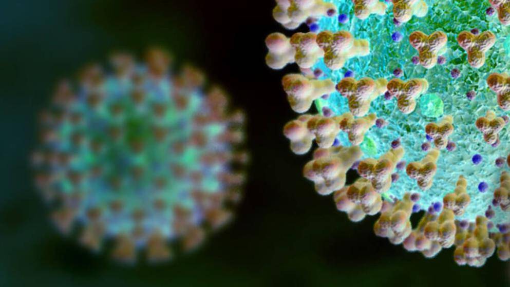 Крайне заразен: в Европе обнаружили еще один мутировавший штамм коронавируса