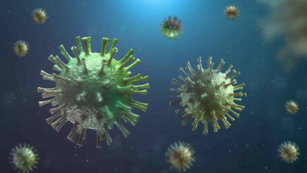 Новый штамм коронавируса обнаружили ученые в Нигерии