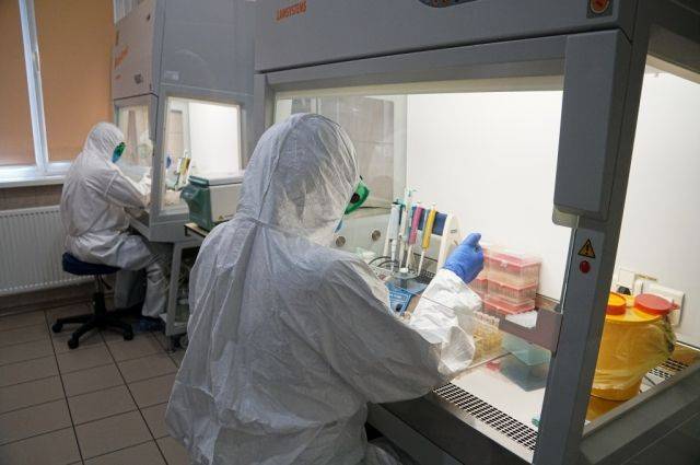 В России за сутки выявили 29 018 случаев заражения коронавирусом