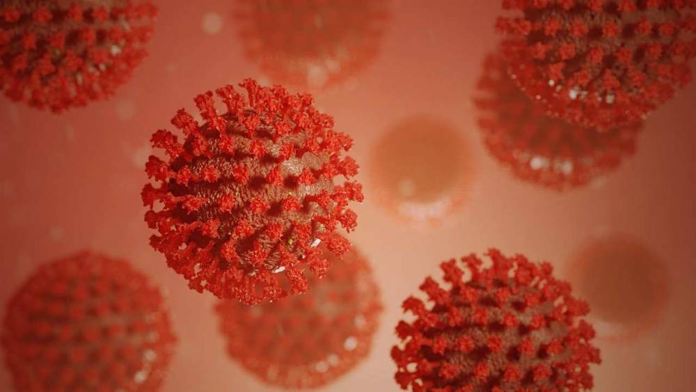 В ВОЗ заявили о выявлении “британского” штамма коронавируса в восьми странах Европы