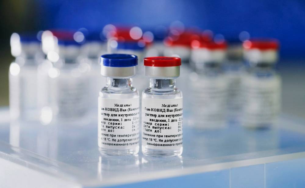 Делегация Молдавии обсудила в Москве возможность поставок российской вакцины