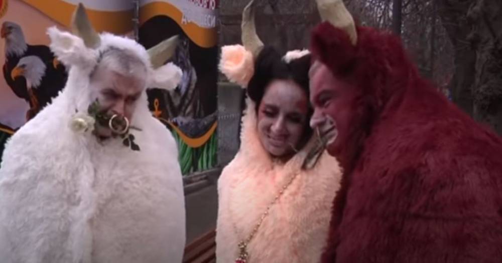 Переоделся в быка и соблазнял “самку”: директор Одесского зоопарка выпустил клип к Новому году