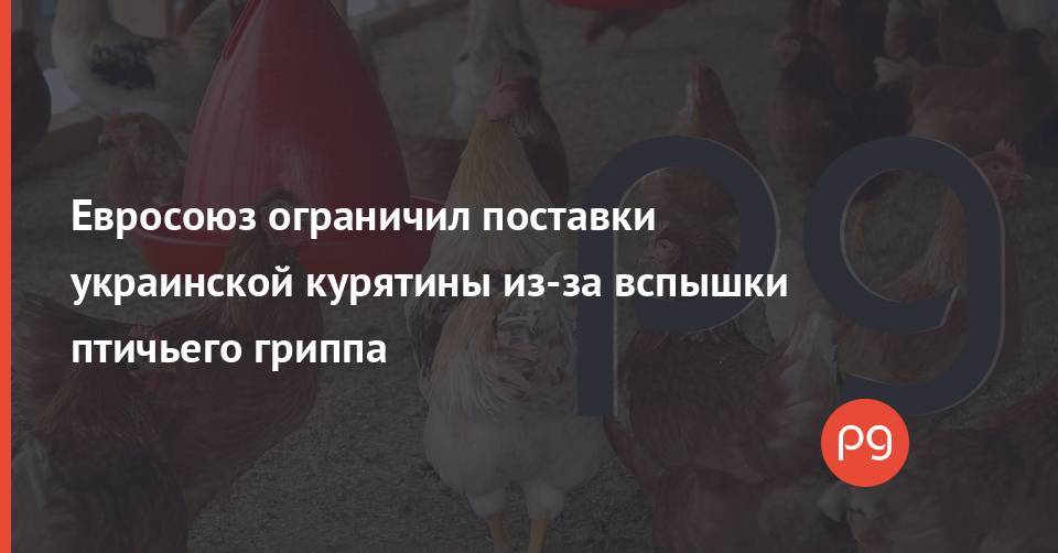 Евросоюз ограничил поставки украинской курятины из-за вспышки птичьего гриппа