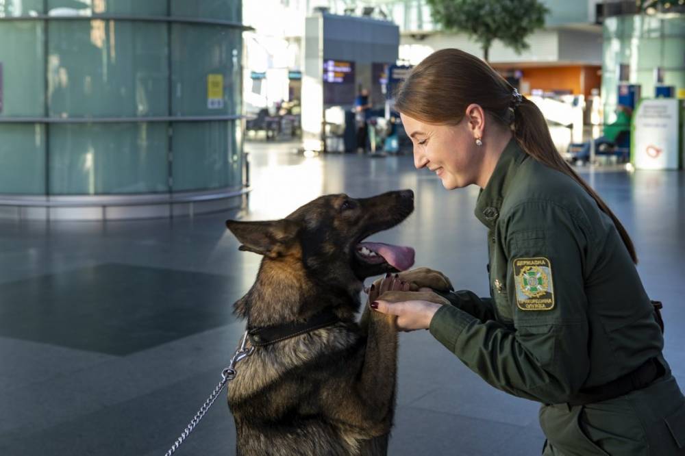 Четвероногие на службе: В ГПСУ рассказали, как собаки помогают бороться с преступностью