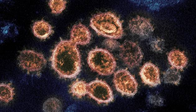 Мутированный британский коронавирус добрался до Канады