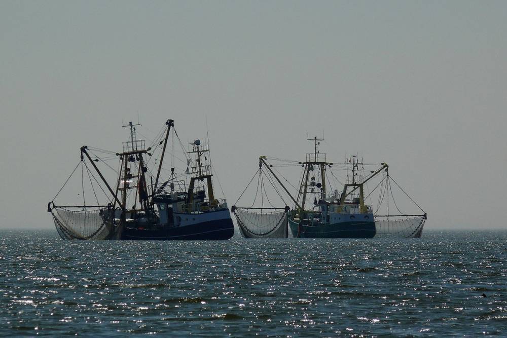 В МЧС объявили причину затопления рыболовецкого судна в Баренцевом море