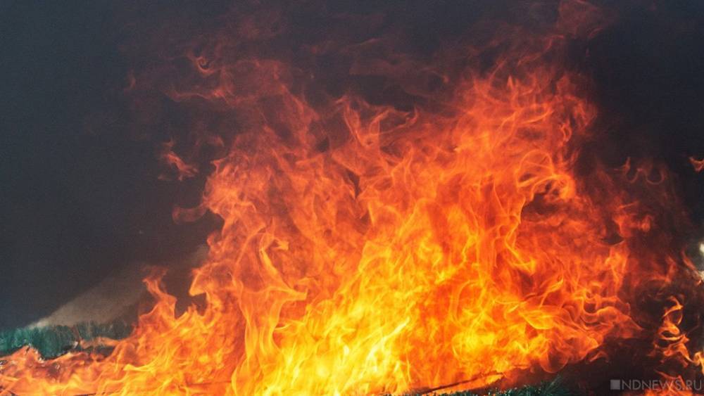 Мать и трое детей погибли на пожаре в Новосибирске