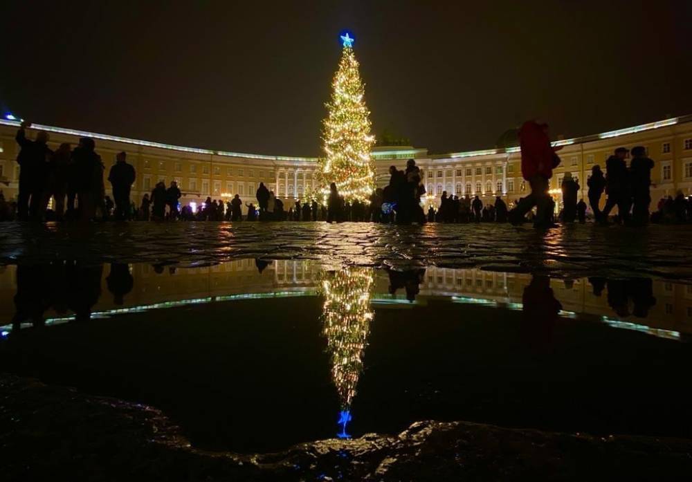 Елка на Дворцовой площади нравится лишь трети жителей Петербурга
