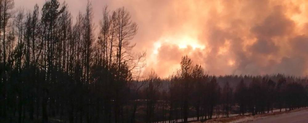 Правительство упростило процедуру получения компенсаций пострадавшим при пожарах на Луганщине