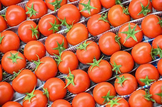 Лавров и Чавушоглу обсудили увеличение квоты на ввоз турецких томатов