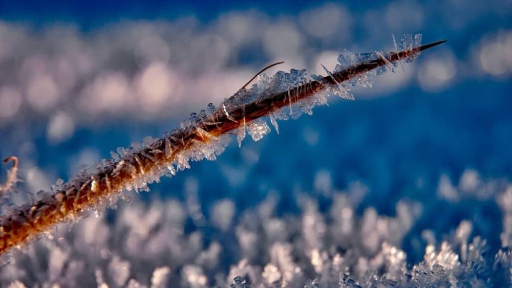 Вторая волна аномальных морозов придет в Новосибирск в новогодние праздники
