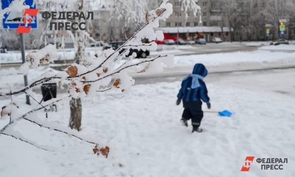 Уходящий 2020 год стал самым теплым в истории Петербурга