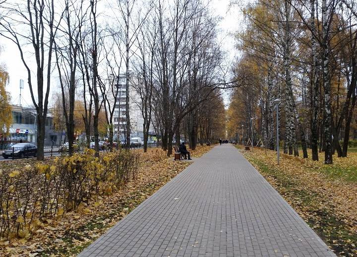 Перепутал с женой-изменщицей: на улице Москвы на девушку напал незнакомец с молотком