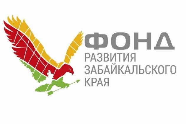 Директор Фонда развития Забайкалья осудил СМИ за «жаренные» факты и беспочвенные домыслы