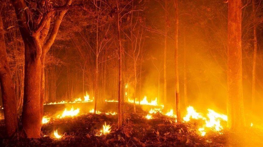 Водопад из огня: спасатели ликвидируют крупный природный пожар в Сочи