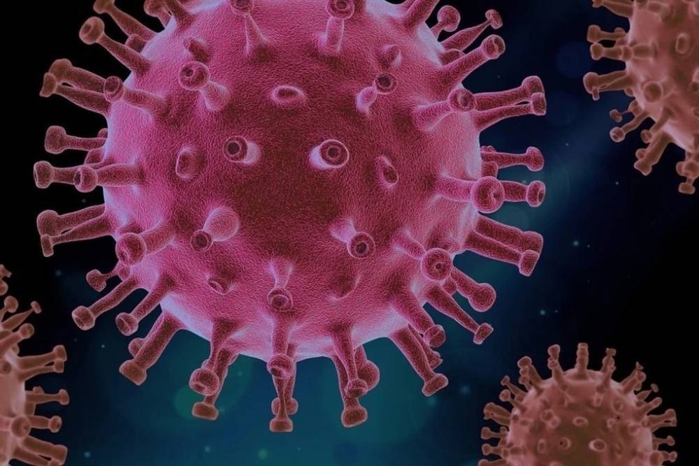 Во Франции появился первый зараженный британским штаммом коронавируса