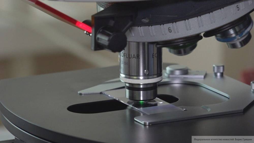 Микроскоп нового типа может видеть биологические ткани сквозь кости черепа
