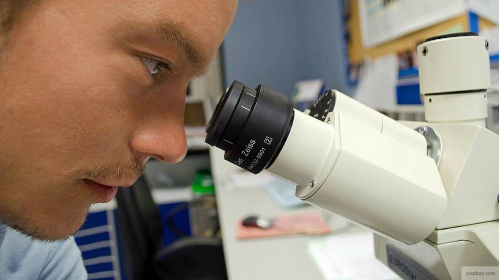 Ученые создали микроскоп с возможностью видеть мозг сквозь кости черепа