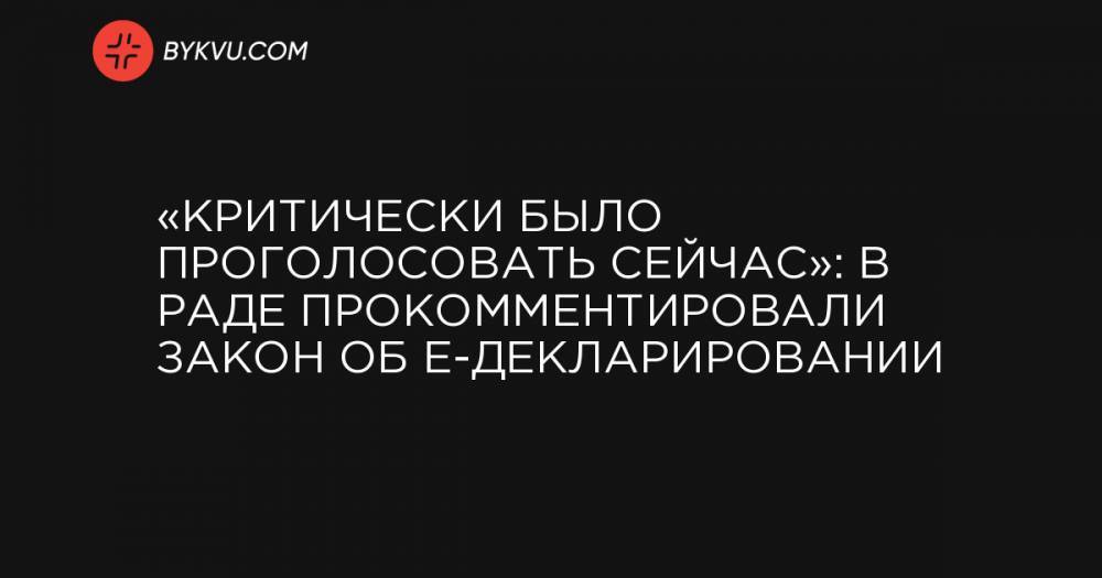 «Критически было проголосовать сейчас»: в Раде прокомментировали закон об е-декларировании