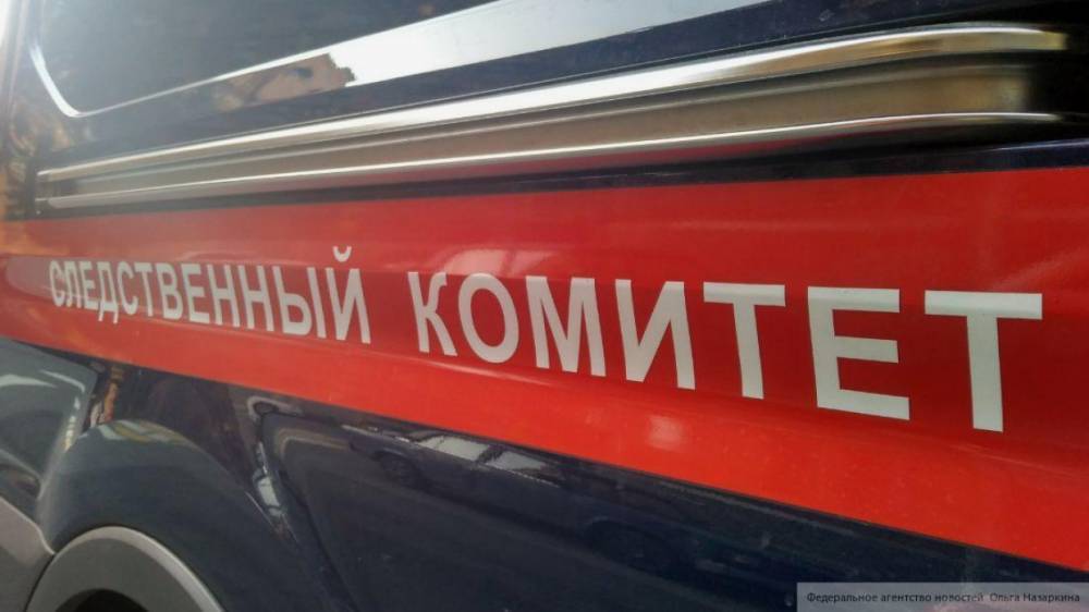 СК возбудил дело по факту убийства двухмесячной девочки в Новой Москве