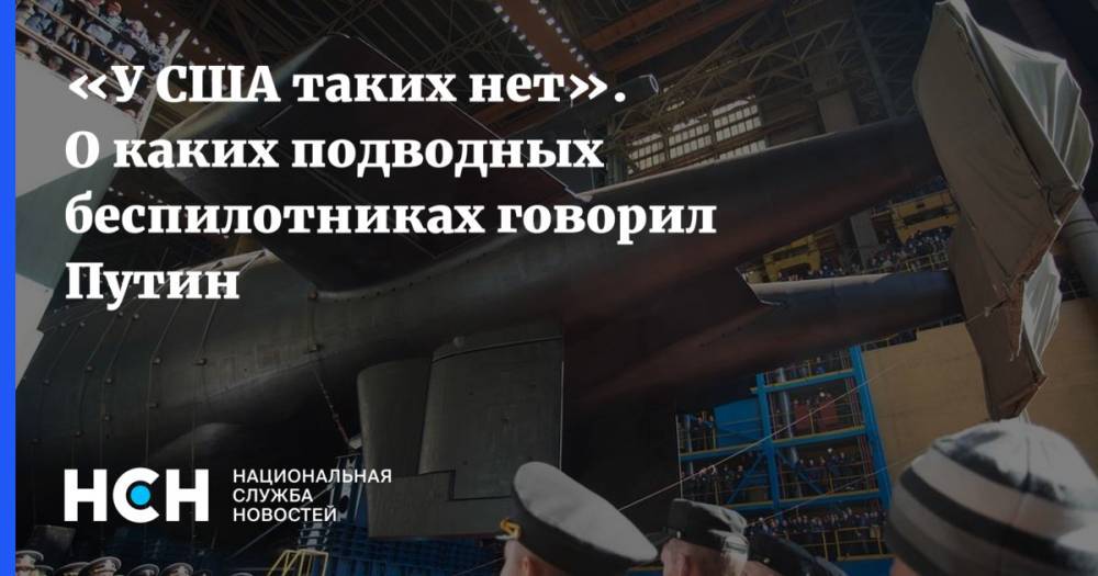 «У США таких нет». О каких подводных беспилотниках говорил Путин