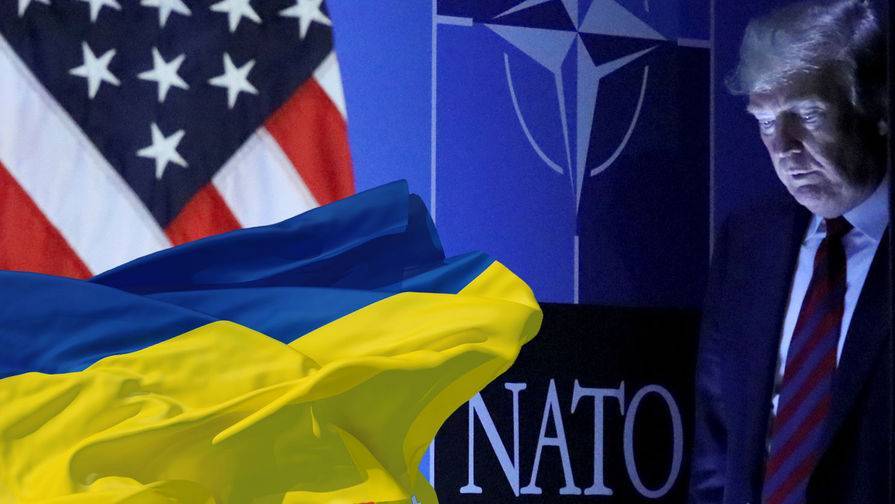 Украина намерена стать членом НАТО до 2030 года