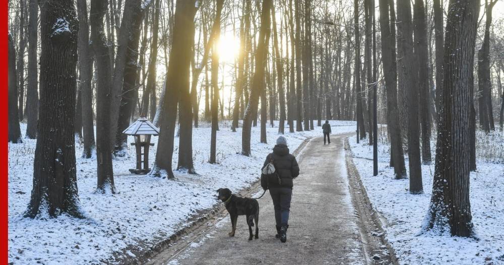Синоптик пообещал москвичам солнечные и морозные выходные